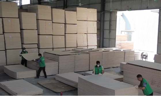 Plywood manufacturing and stacking area at our partner factory